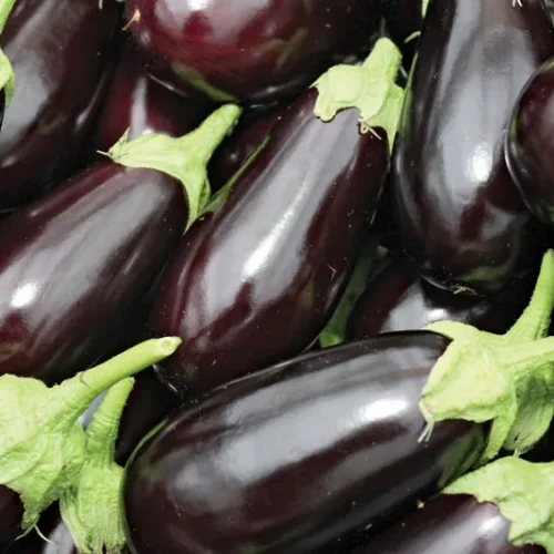 eggplant.webp