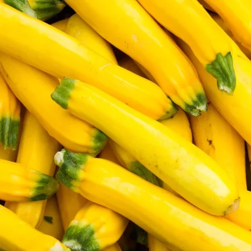 yellow zucchini.webp
